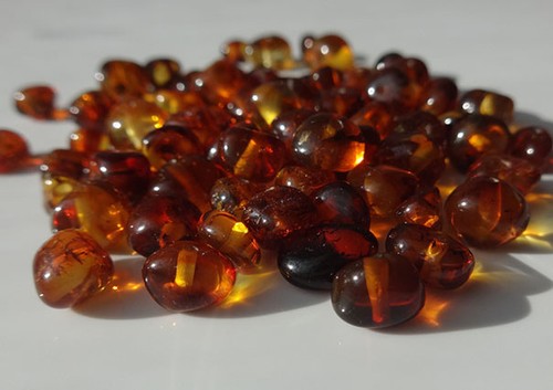 Cognac genuine baltic - cognac, amber
