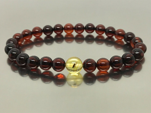 Amber bracelet gift insect - amber,