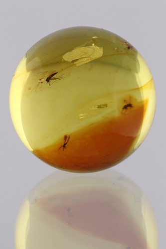 Insects swarm round sphere - 9,