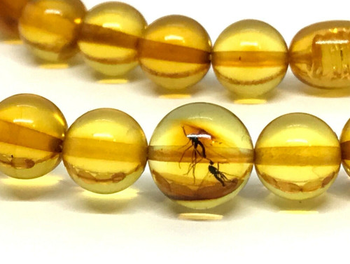 Amber necklace insects - 2, gift