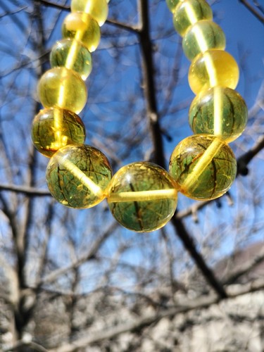 100 natural baltic amber - ,