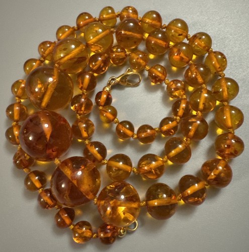 Graduated cognac baltic amber - cognac,