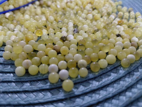 Natural baltic round yolk - natural,
