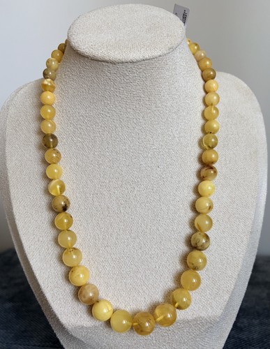 Natural baltic amber graduated - amber,