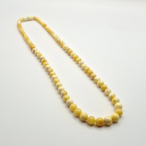 Genuine baltic amber vintage - baltic,